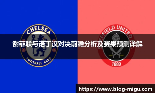 谢菲联与诺丁汉对决前瞻分析及赛果预测详解